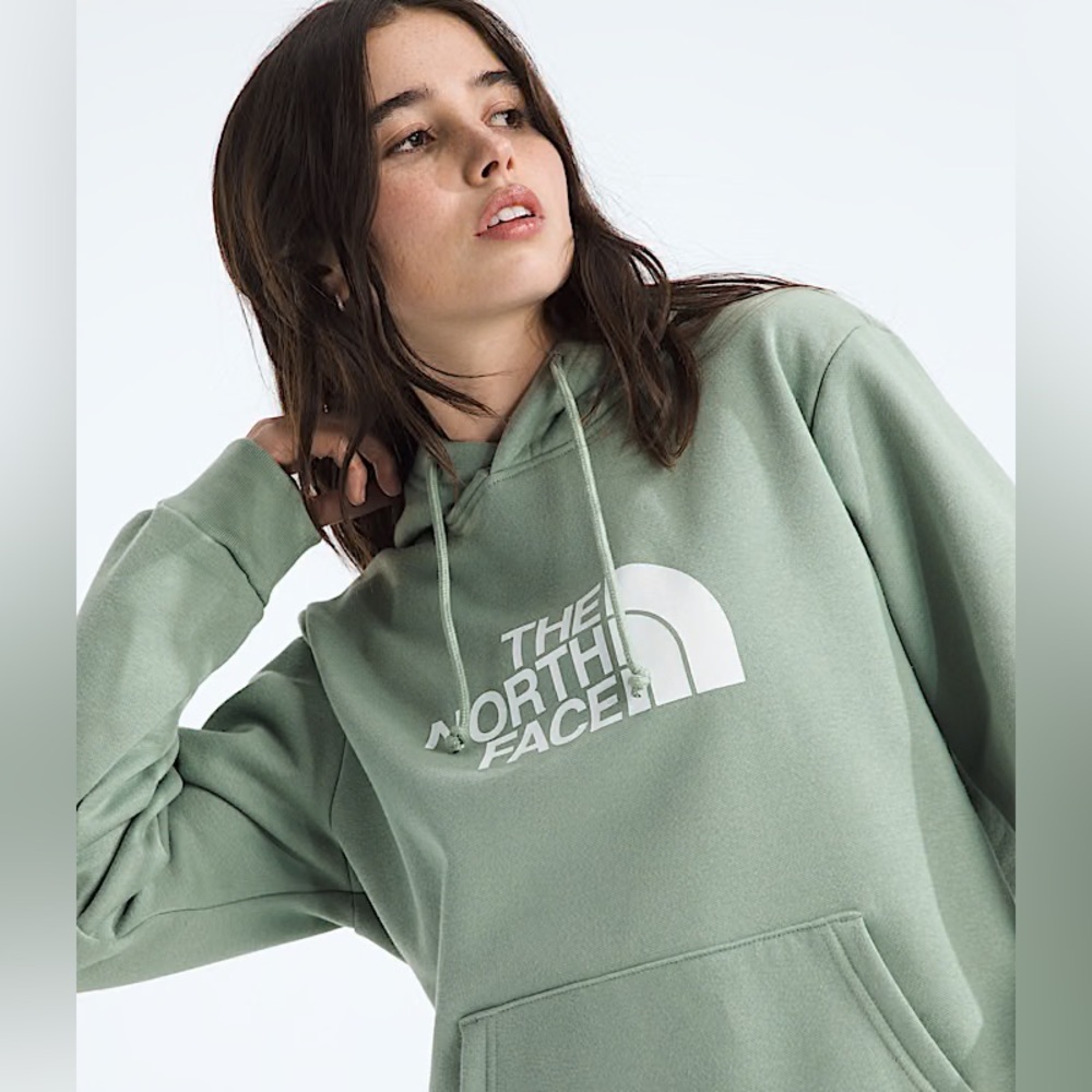The North Face W Evo Half Dome Hoodie